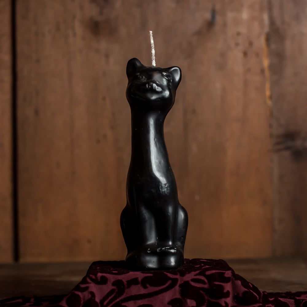 Black cat candle