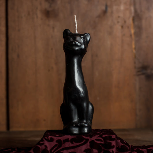 Black cat candle