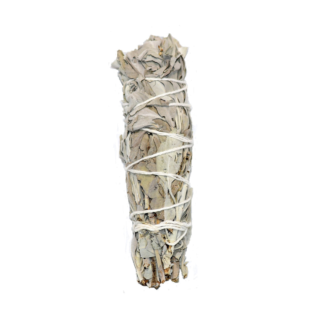 White Sage